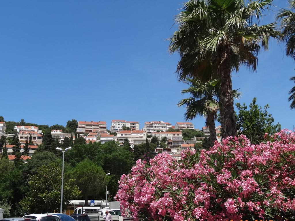 Apartments Roko Dubrovnik Eksteriør billede